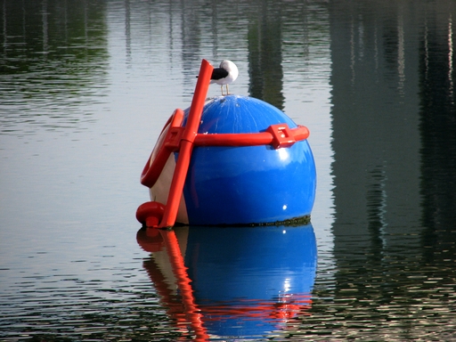comichão nas costas