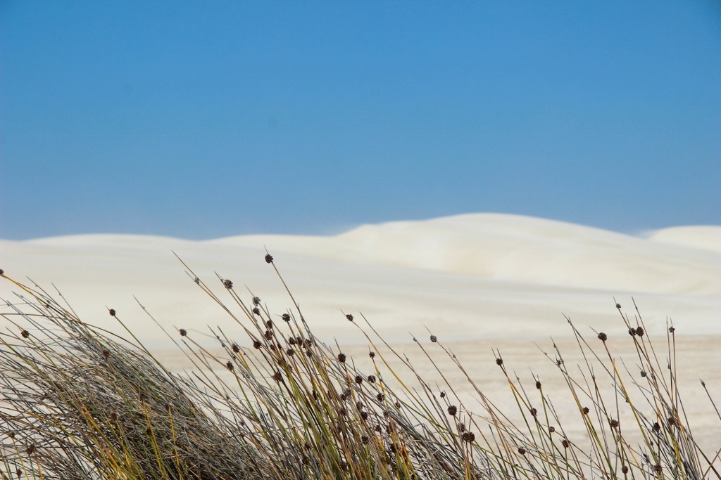 sandbourd lancelin a 14