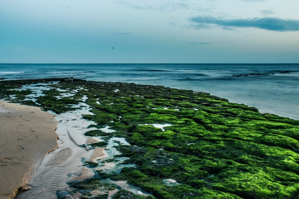 praia das avencas-2 (1024x683)