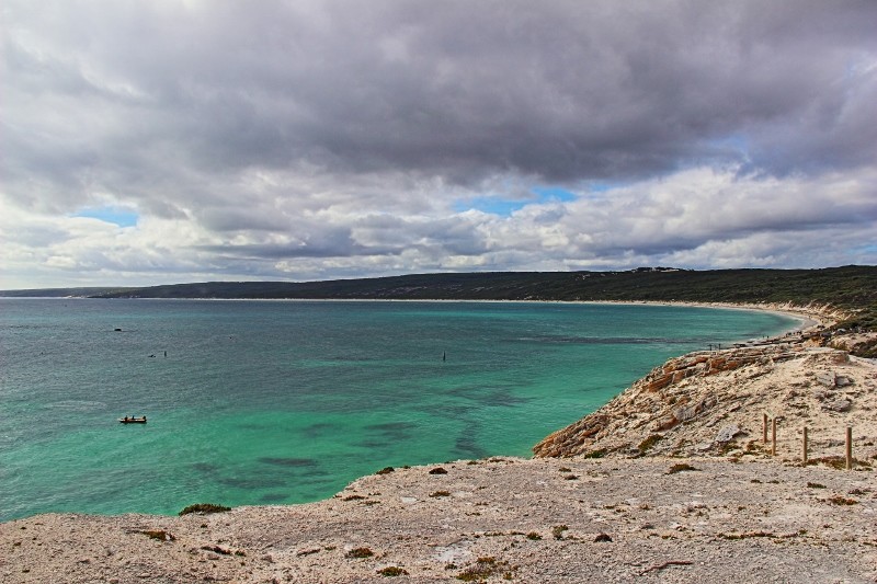 hamelin bay 4 (800x533)