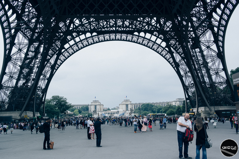 _SAM4983-38.JPG _SAM4983-38.JPG