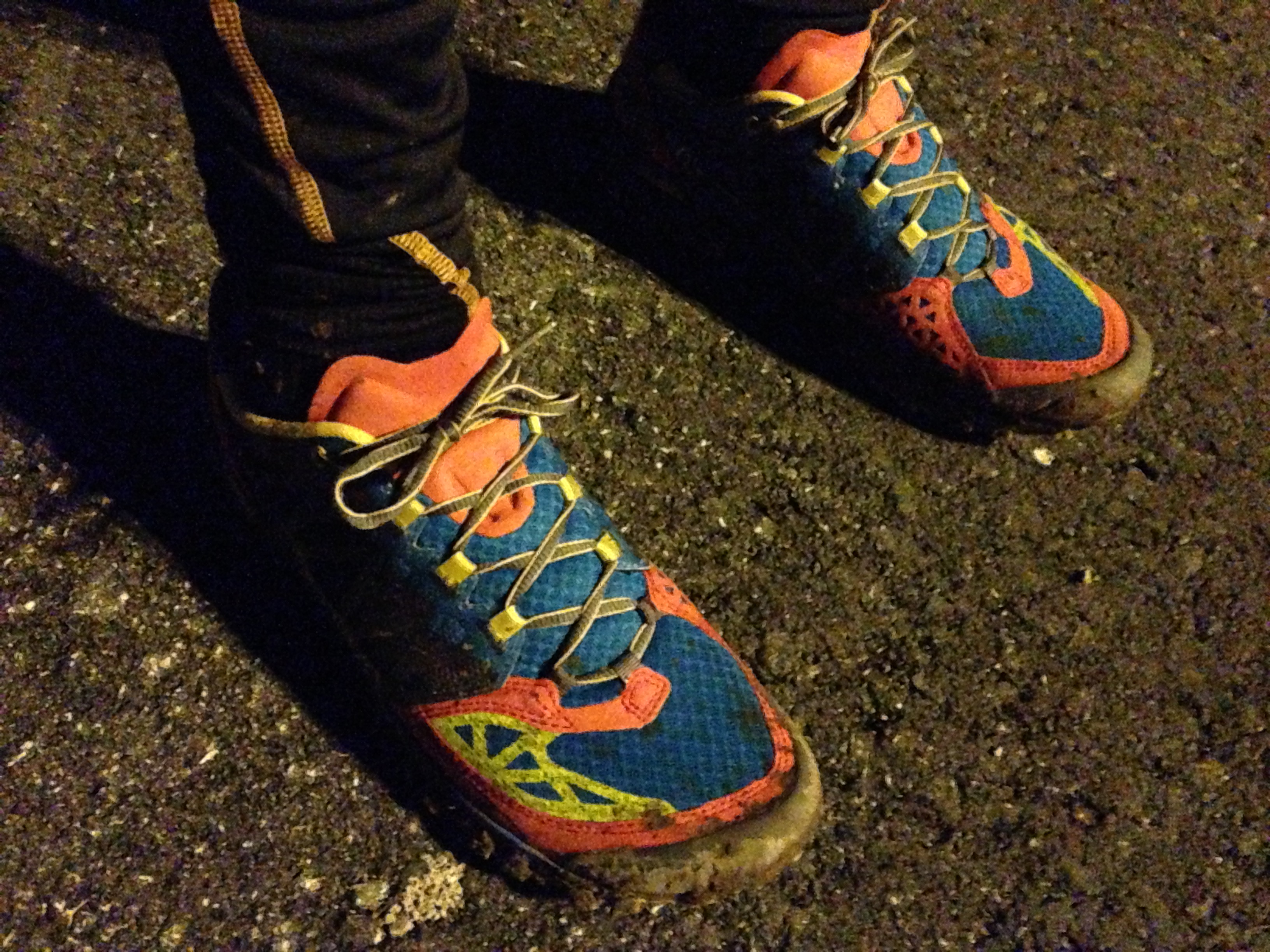 IMG_3947.JPG IMG_3947.JPG