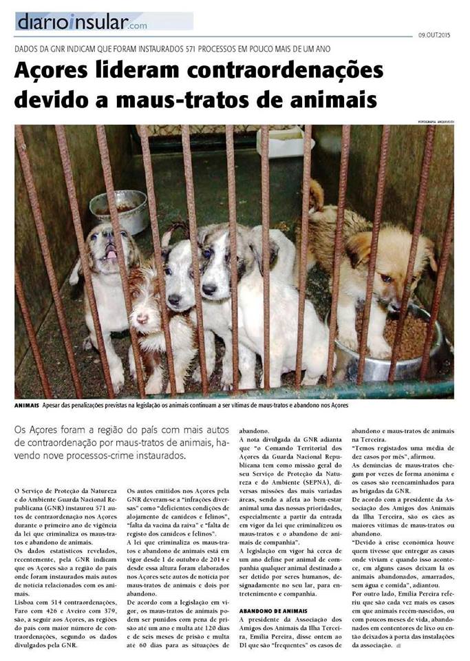 MAUS-TRATOS ANIMAIS.jpg