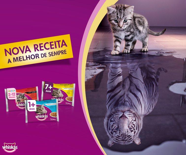 11013331_1189302577751064_2952062348897322414_n.pn 11013331_1189302577751064_2952062348897322414_n.pn