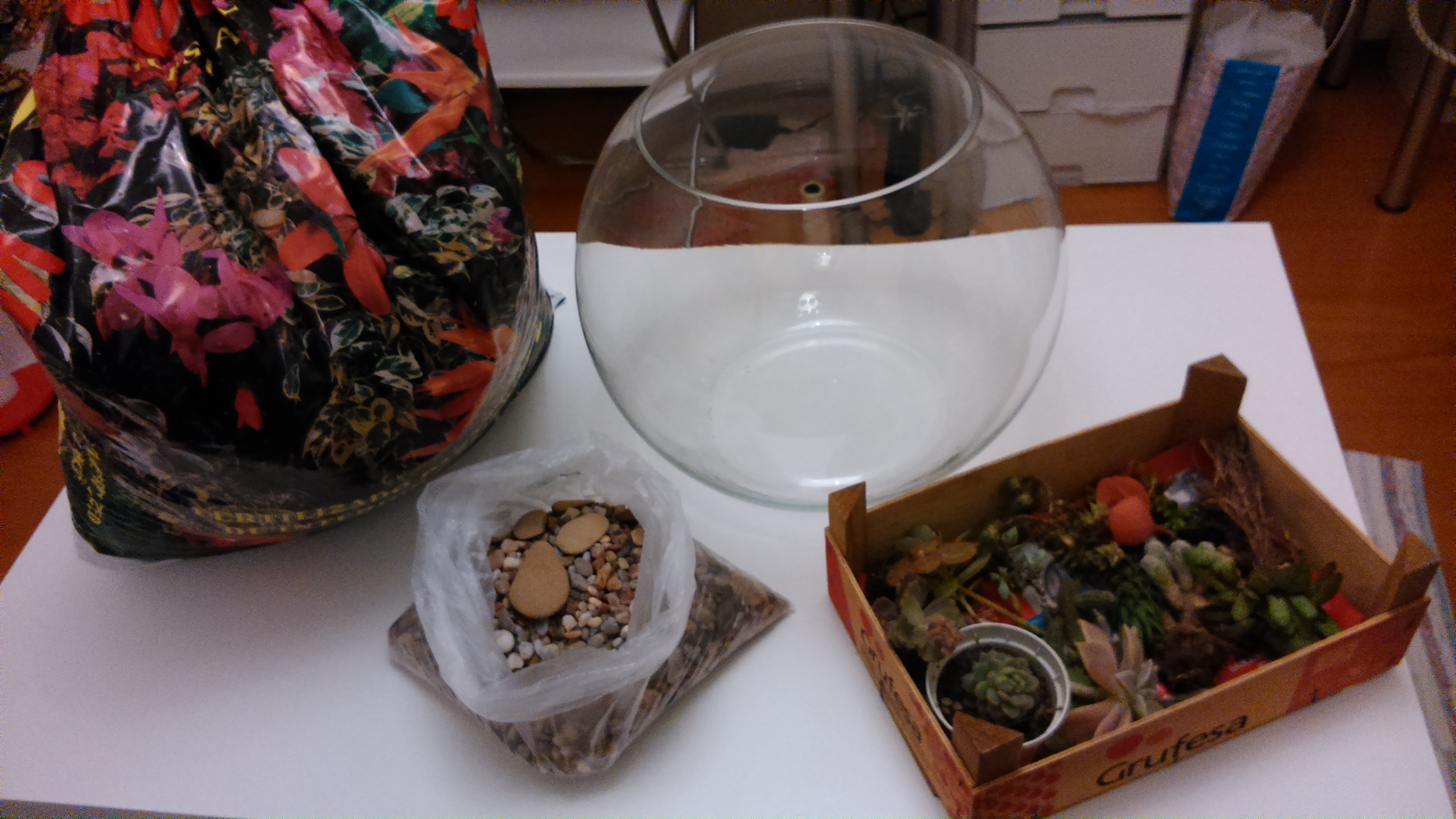 DSC_0877.jpg DSC_0877.jpg