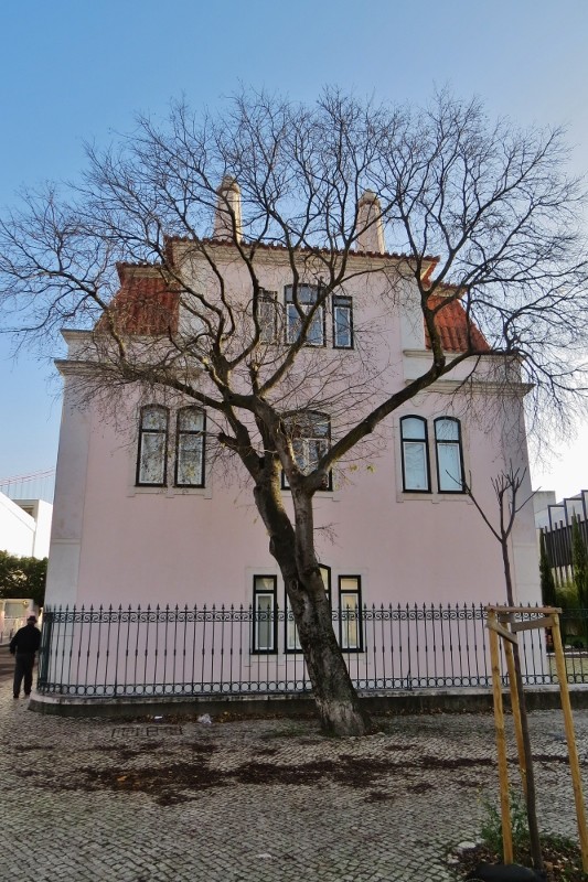 rua da junqueira (533x800)