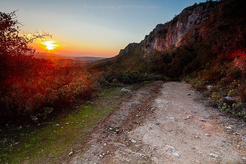 Loulé - Vitor Pina.jpg