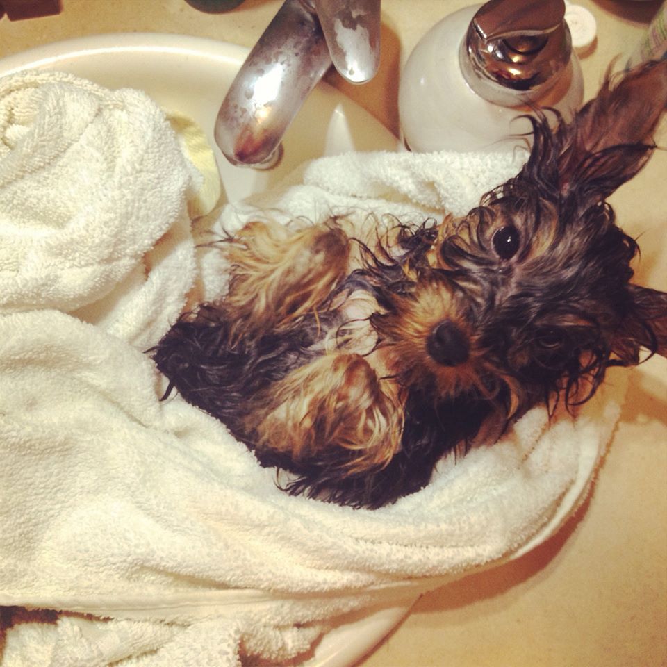 887910_4143383996381_1589815992_o.jpg 887910_4143383996381_1589815992_o.jpg