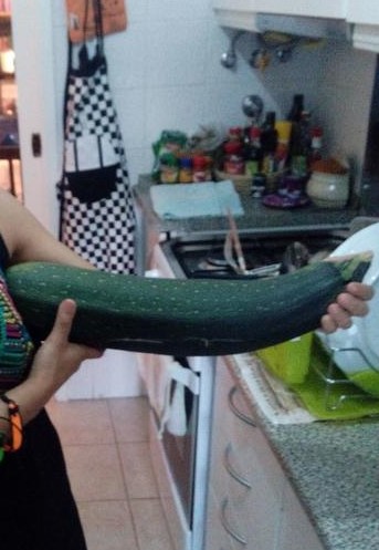 IMG_20150719_210033 (2)