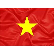 Bandeira do Vietname.jpg