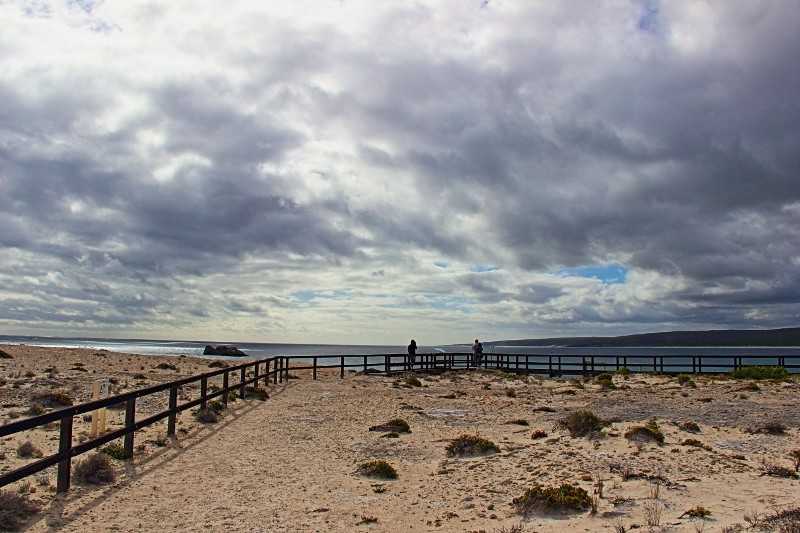 hamelin bay a 15 (800x533)