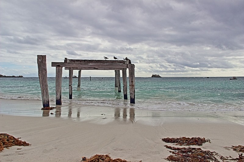 hamelin bay 1 (800x533)