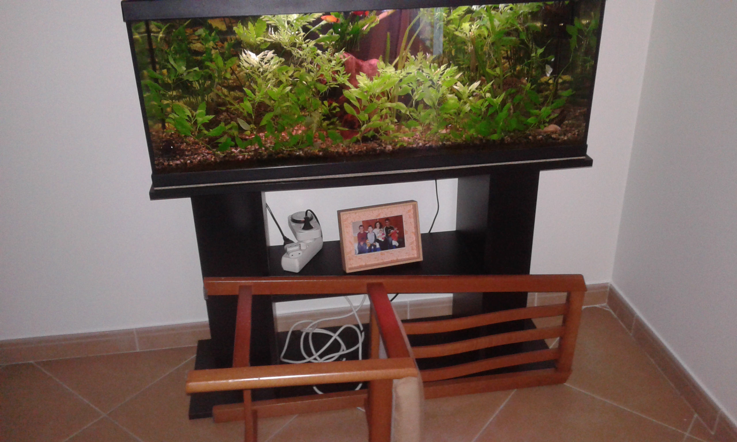 20150811_201816.jpg 20150811_201816.jpg