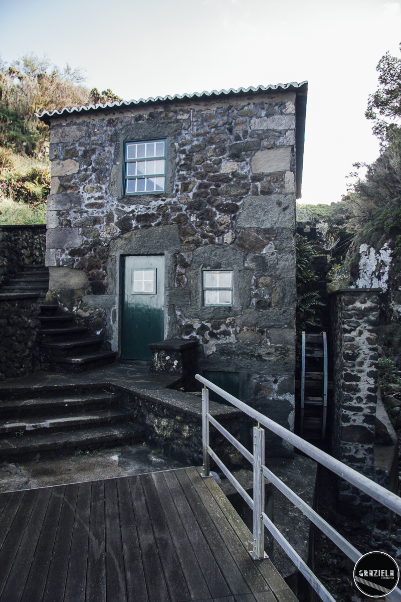 Terceira_2015_Pequenas-90.JPG Terceira_2015_Pequenas-90.JPG