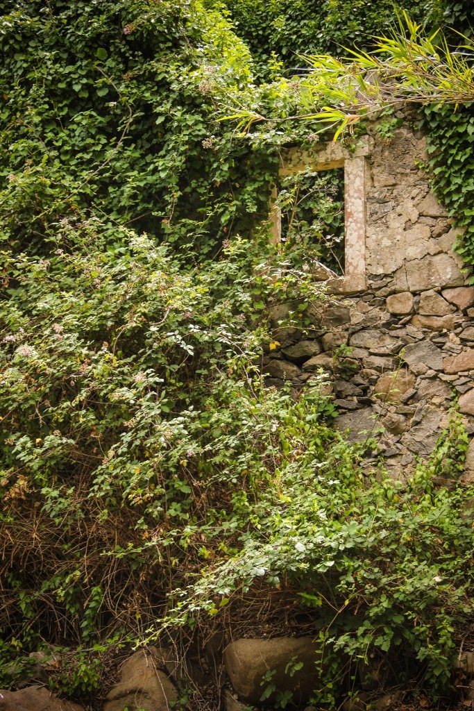 cascatas de mourao c 8