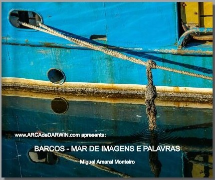 barcos capa