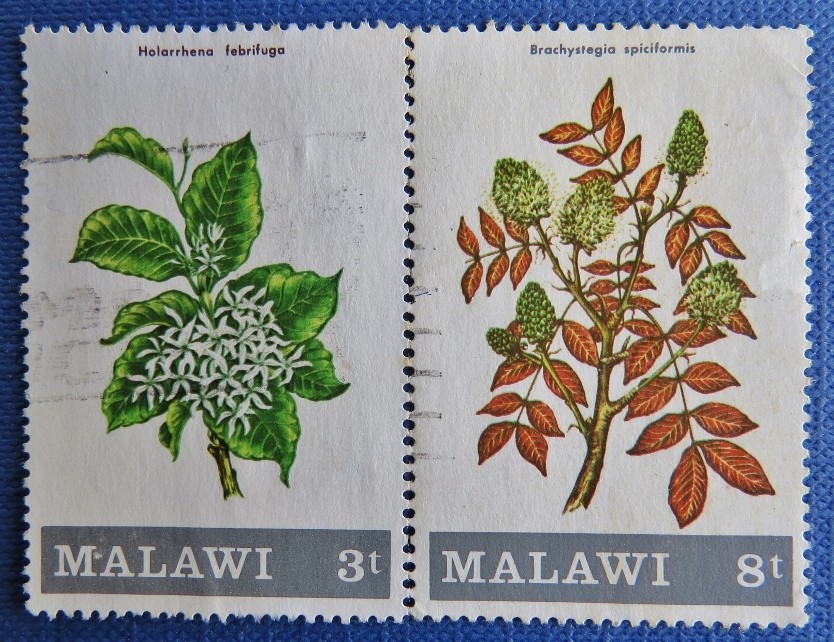 malawi stamp 1