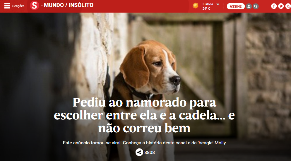 Pediu ao namorado para escolher entre ela e a cadela... e não correu bem - Sábado