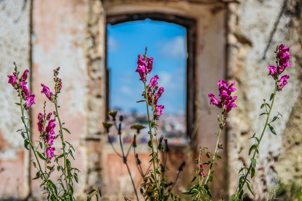 quinta da arealva almada a 10