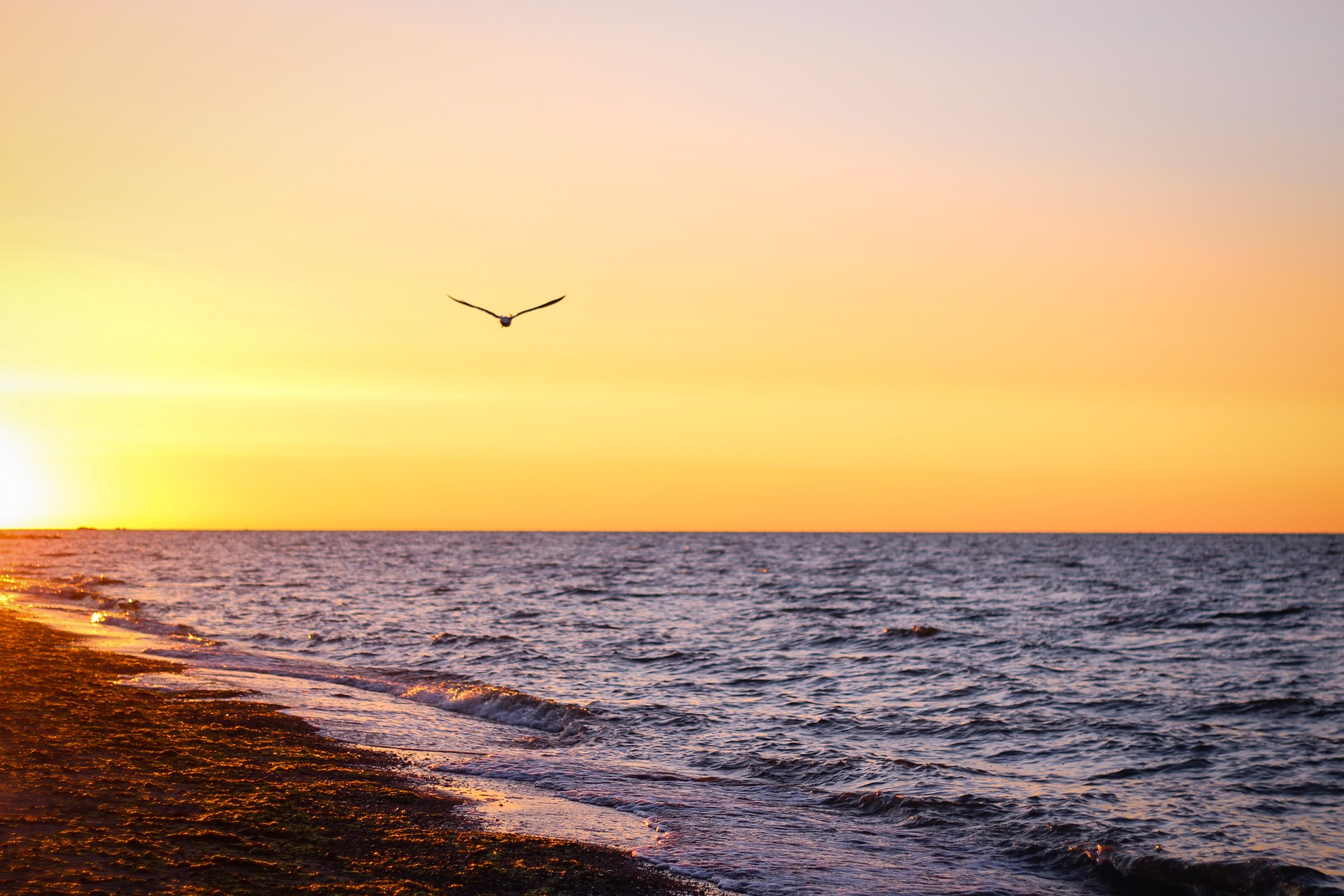 08102_HD.jpg 08102_HD.jpg