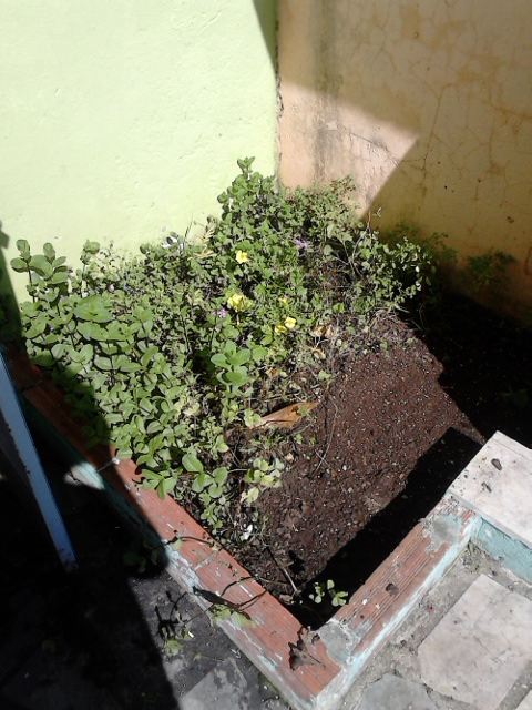 DSC_0075.jpg DSC_0075.jpg