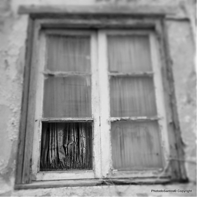 10852865_552198608248496_1350992084_nAnd2more_tone