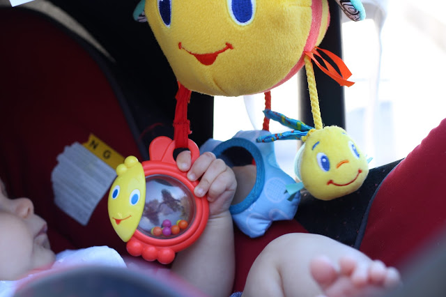 chuchar no dedo + crescimento mês a M~es + bebé menina + quarto mesmo + mãos de bebé + brincadeiras com bebés