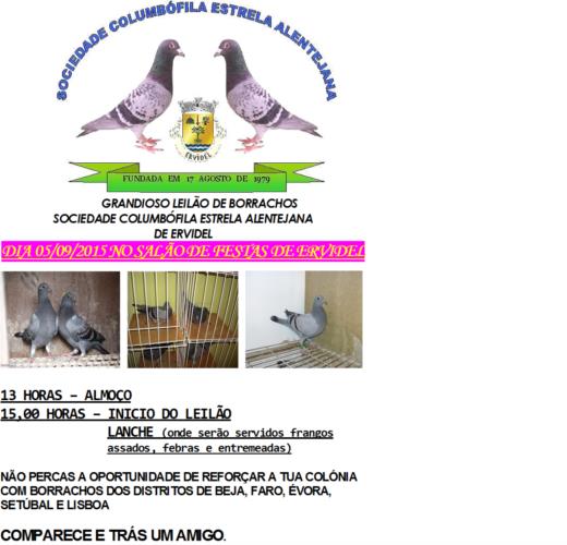 Leilão Ervidel1.jpg
