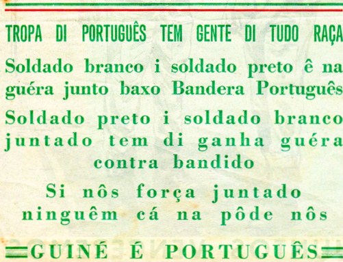 noti branco e preto.jpg