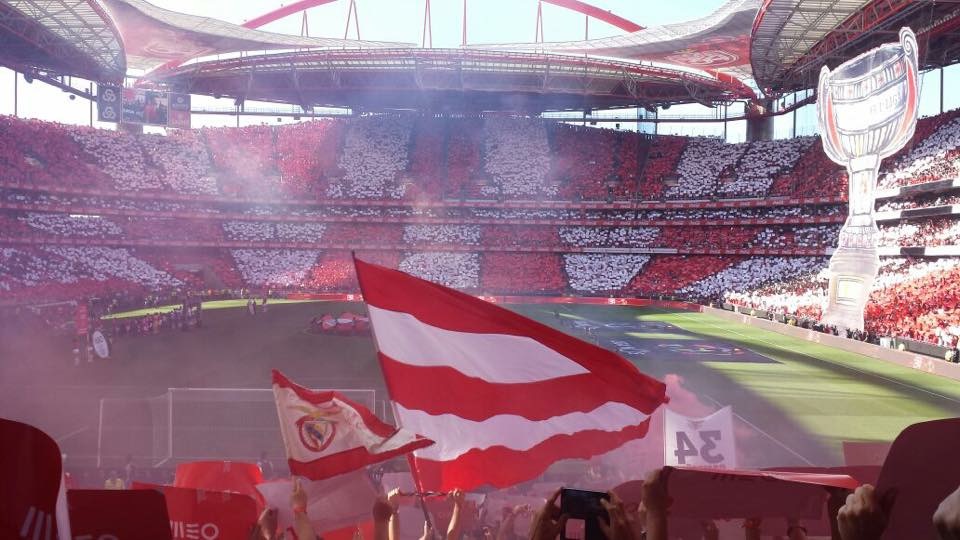 IMG_2706.JPG IMG_2706.JPG