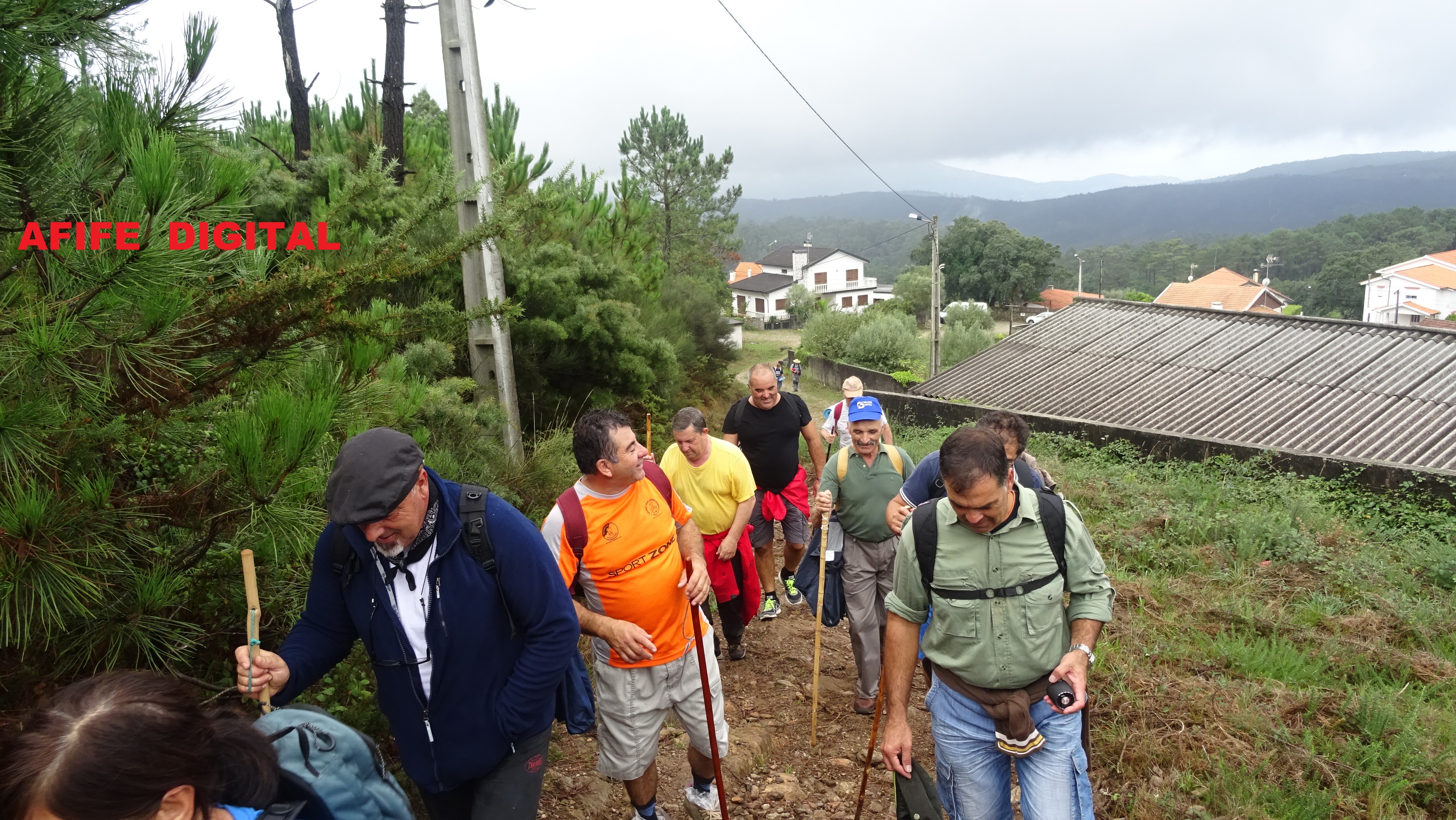 DSC02515.JPG DSC02515.JPG