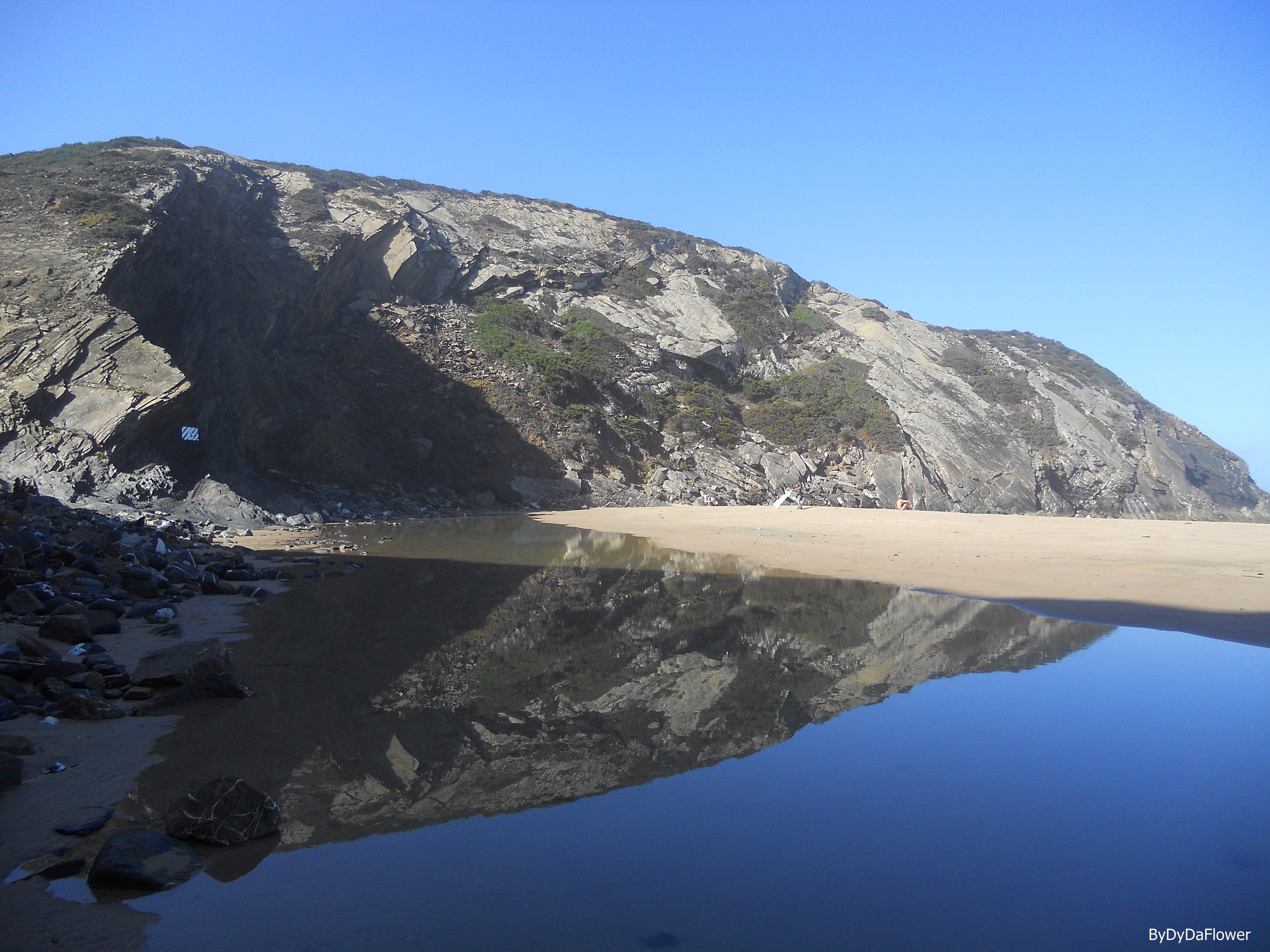 o bicho adormecido.JPG