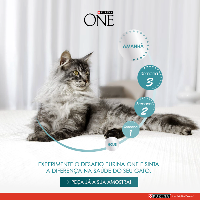 12042861_1131535993541645_6236164734143038280_n.pn