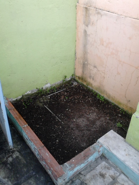 DSC_0085.jpg DSC_0085.jpg