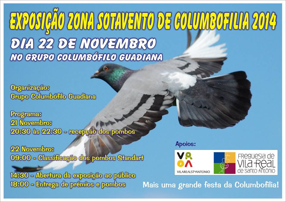 Exposição Sotavento.jpg