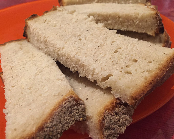 acompanhamento humus 2