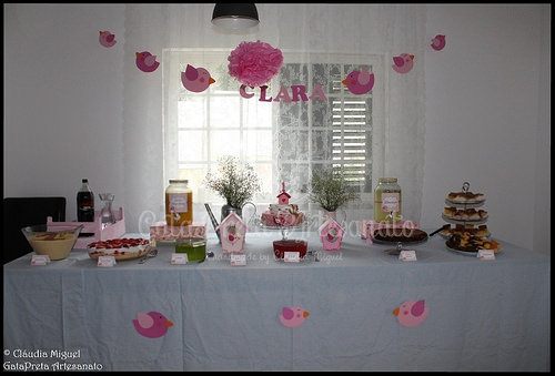 Festa do 1º aniversário da Clarinha - Casinhas e Passarinhos