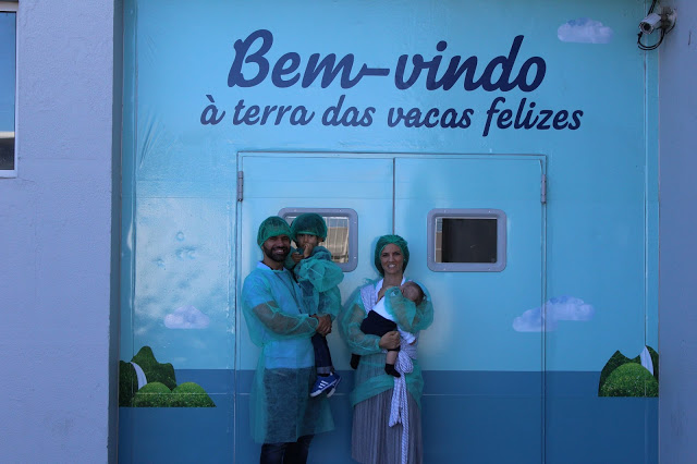 terra nostra + bel portugal + leite de pastagem + programa vacas felizes + leite dos açores + Açores + arquipélago + Visit açores + turismo portugal