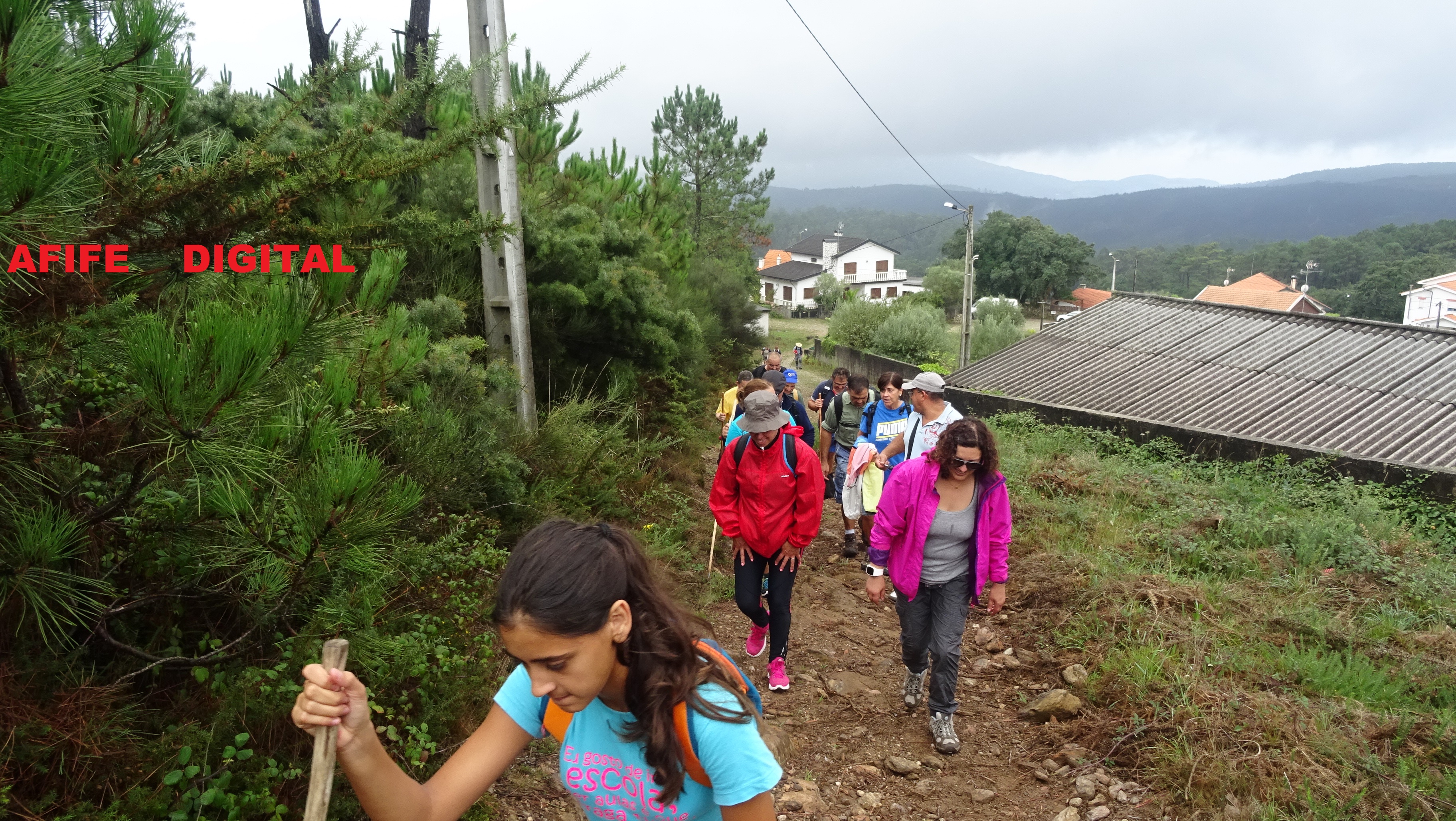 DSC02511.JPG DSC02511.JPG