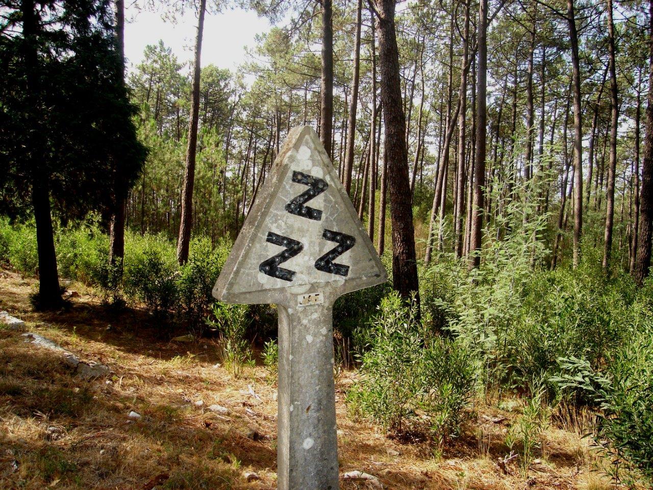 Sinal antigo de curva e contracurva.jpg