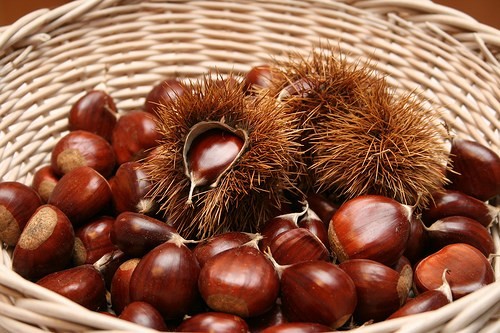 castanhas com casca, num cesto de verga.