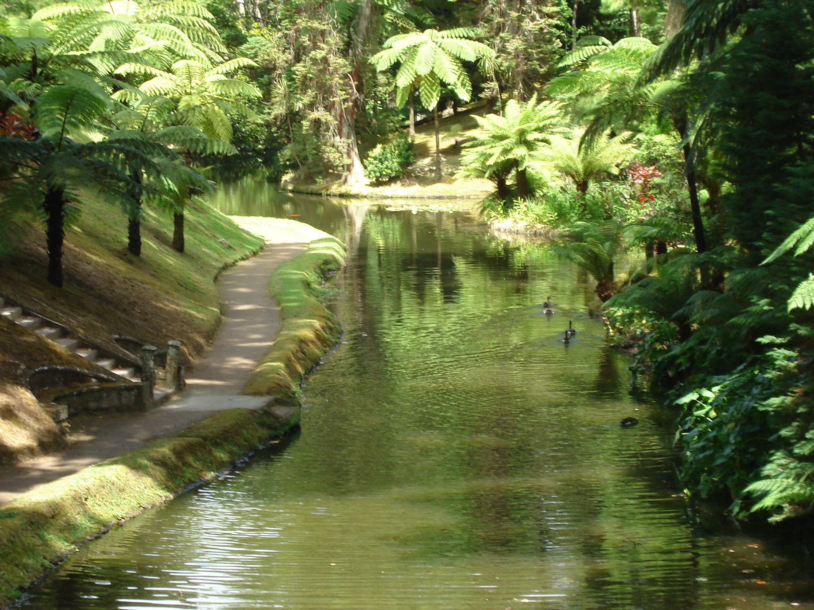 DSC02617.JPG DSC02617.JPG