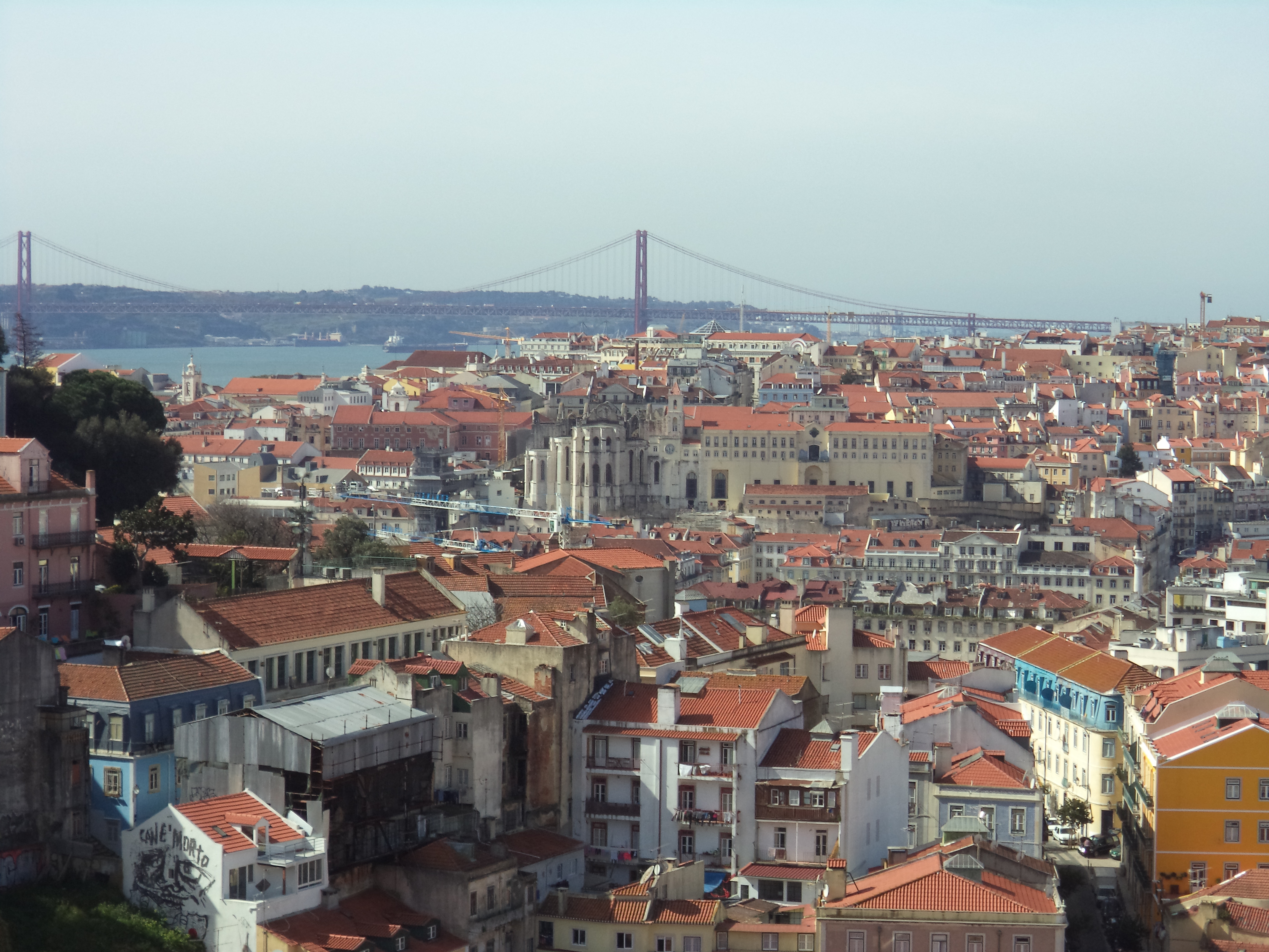 DSC03525.JPG DSC03525.JPG