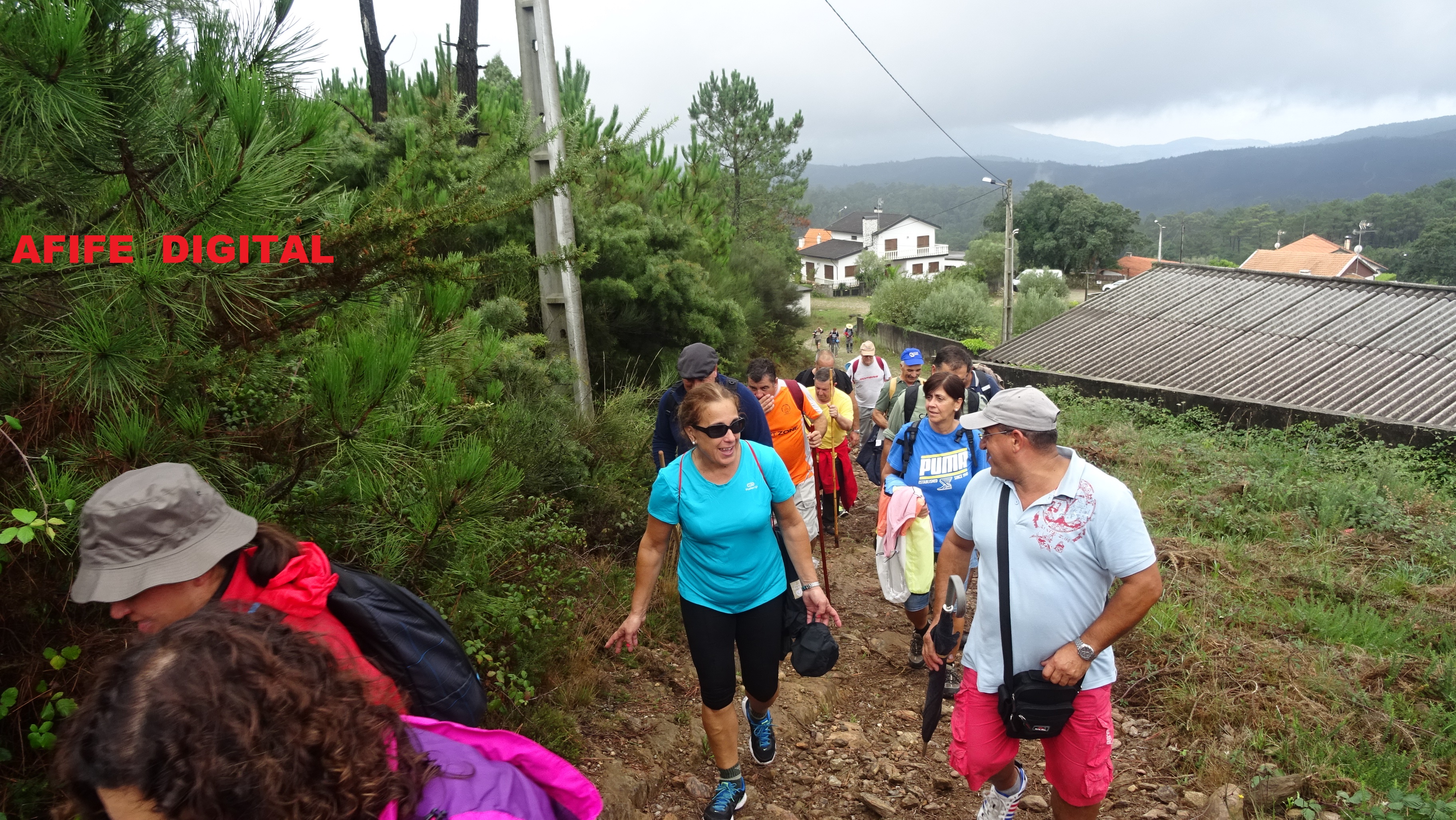 DSC02513.JPG DSC02513.JPG