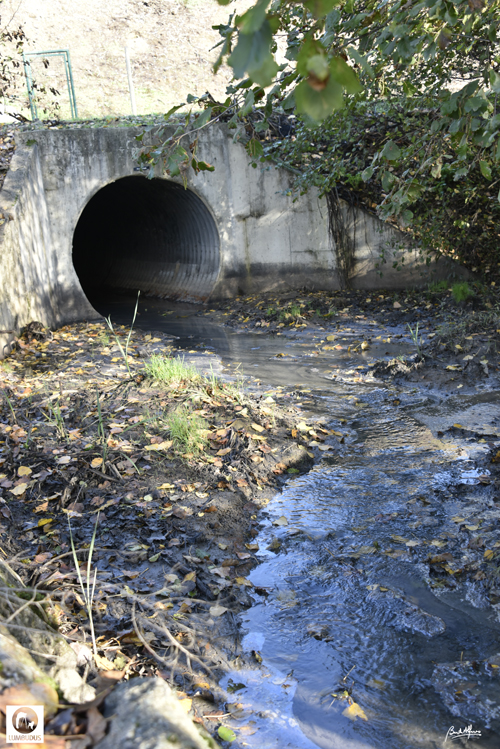 _D759552.JPG