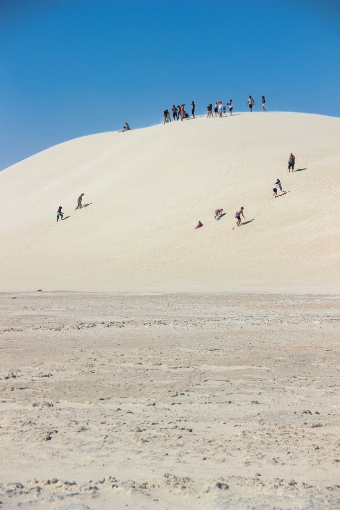 sandbourd lancelin a 11