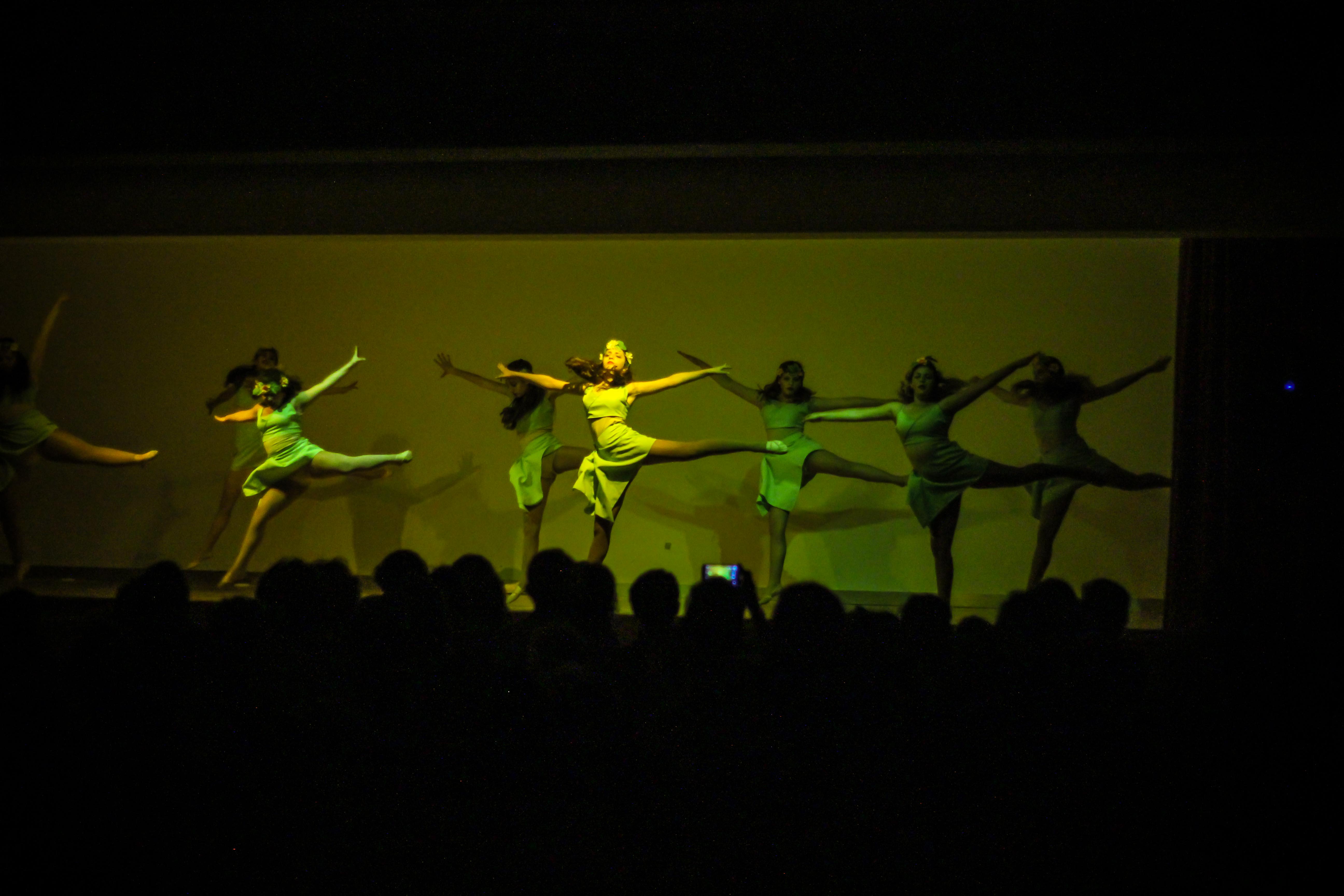 festival danca-106