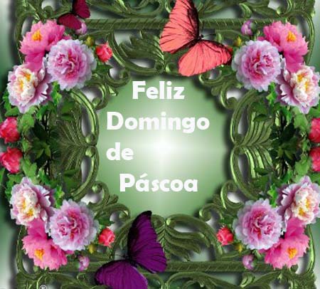 1FA6x-65K-1 copy.jpg