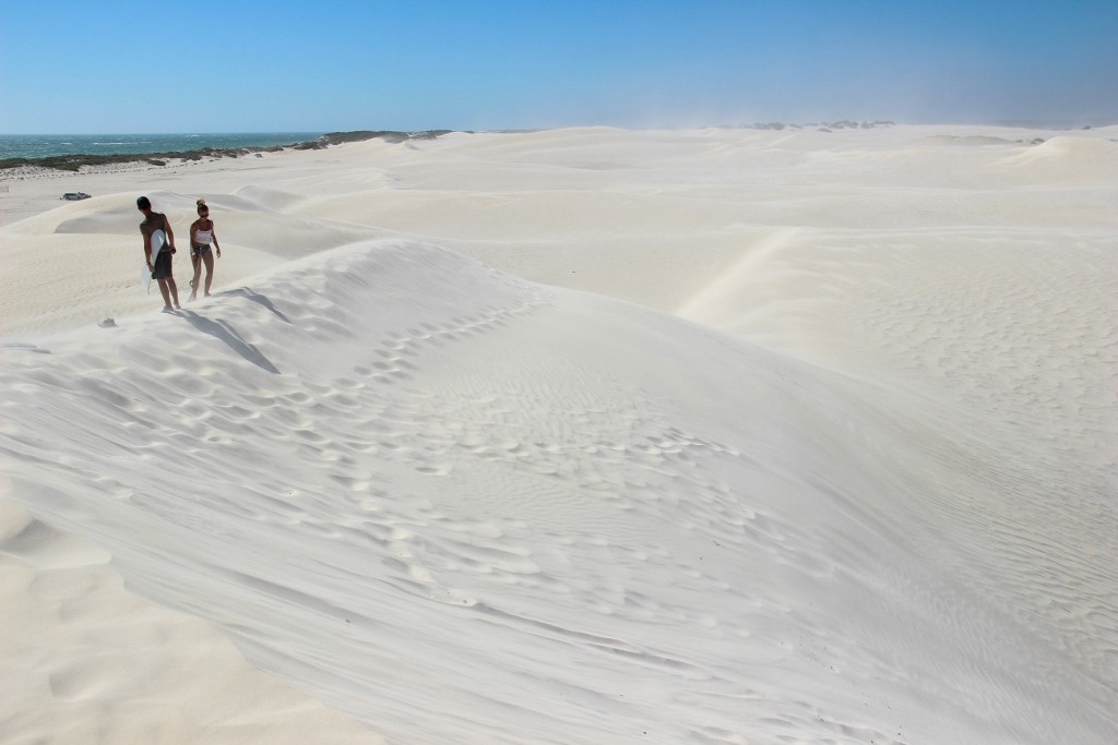 sandbourd lancelin 5