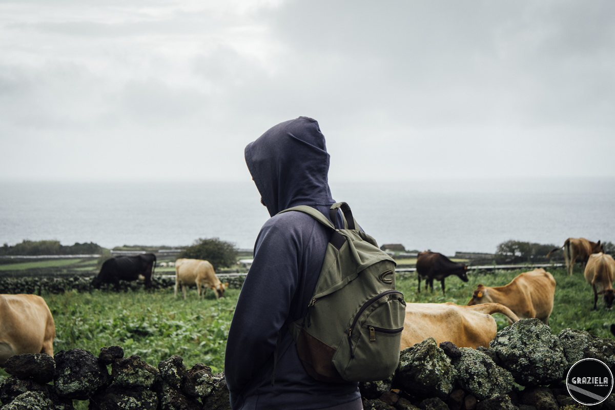 Terceira_2015_Pequenas-2.JPG Terceira_2015_Pequenas-2.JPG